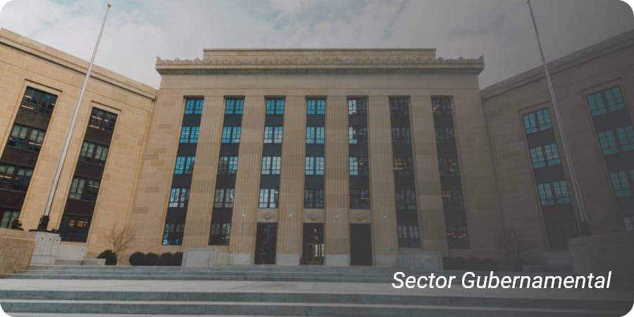Sector Gubernamental