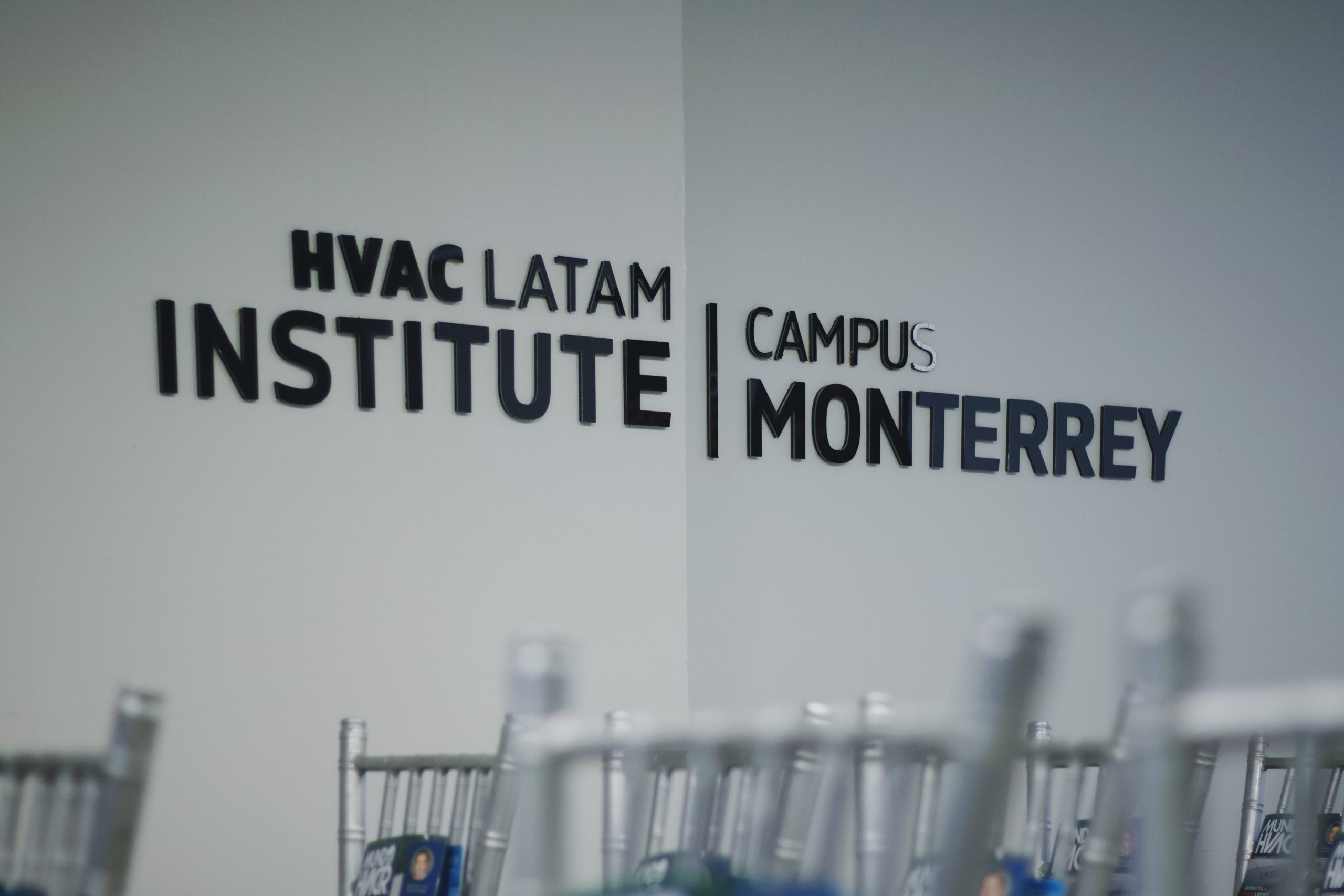 IMG 1519 Edited 1 scaled